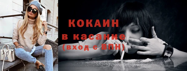 ПСИЛОЦИБИНОВЫЕ ГРИБЫ Дмитриев