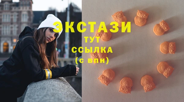 ПСИЛОЦИБИНОВЫЕ ГРИБЫ Дмитриев
