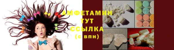 ПСИЛОЦИБИНОВЫЕ ГРИБЫ Дмитриев