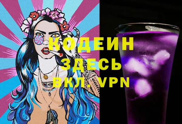 ПСИЛОЦИБИНОВЫЕ ГРИБЫ Дмитриев
