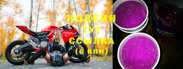 ПСИЛОЦИБИНОВЫЕ ГРИБЫ Дмитриев