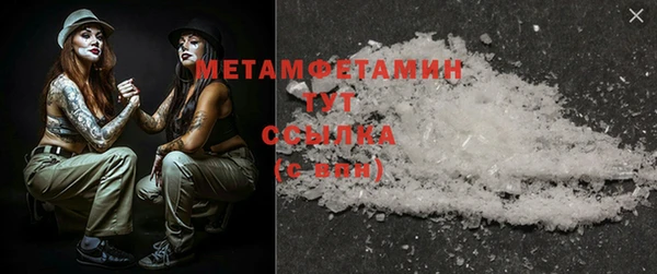 ПСИЛОЦИБИНОВЫЕ ГРИБЫ Дмитриев