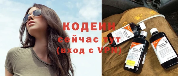 ПСИЛОЦИБИНОВЫЕ ГРИБЫ Дмитриев