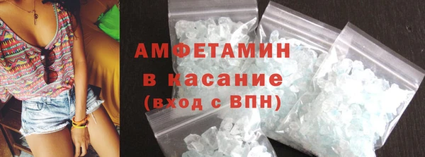 ПСИЛОЦИБИНОВЫЕ ГРИБЫ Дмитриев