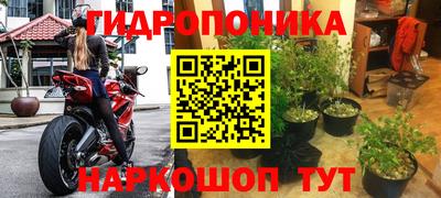 наркотики Заводоуковск
