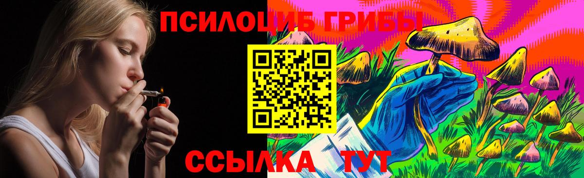 Галлюциногенные грибы прущие грибы  Лосино-Петровский 