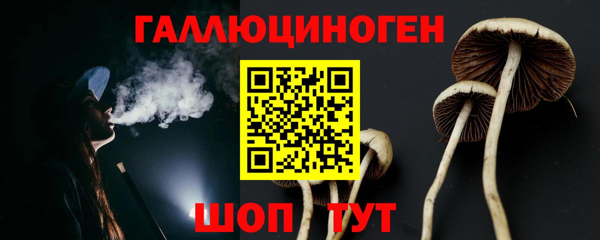 Галлюциногенные грибы GOLDEN TEACHER  Псилоцибиновые грибы мицелий  Вход с VPN  Лосино-Петровский 
